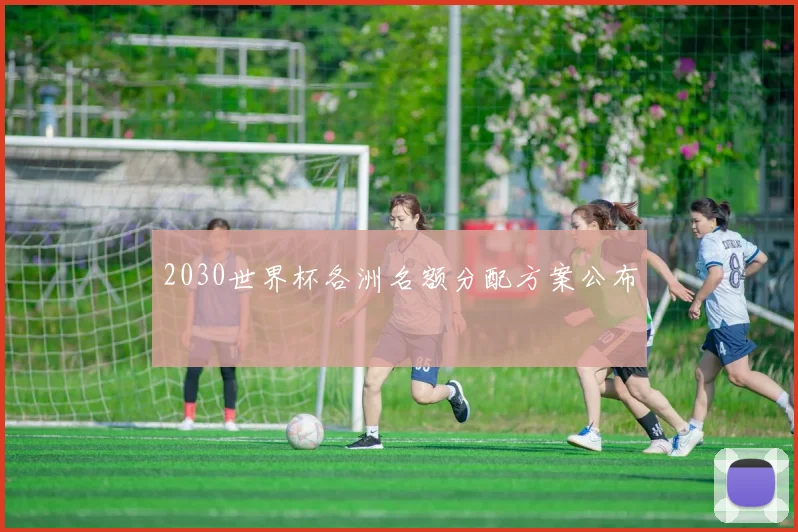 2030世界杯各洲名额分配方案公布