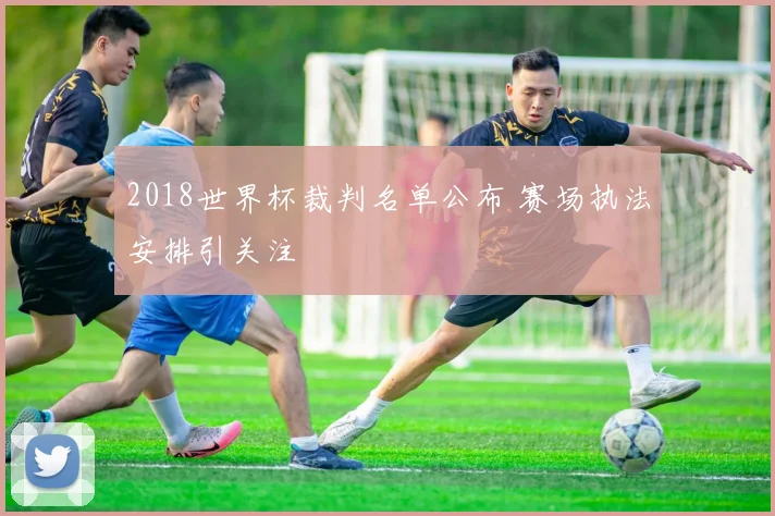 2018世界杯裁判名单公布 赛场执法安排引关注