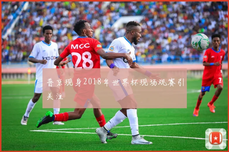 普京现身2018年世界杯现场观赛引关注
