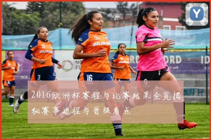 2016欧洲杯赛程与比赛结果全览揭秘赛事进程与晋级看点