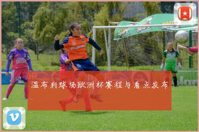温布利球场欧洲杯赛程与看点发布